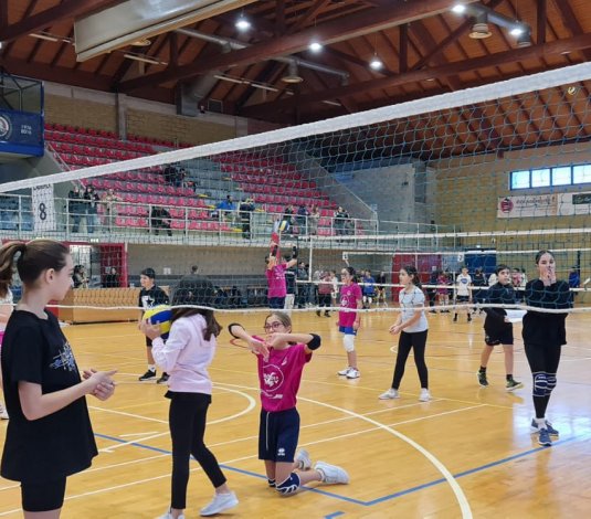 Pallavolo e Scuola: 15 anni di progetti vincenti!