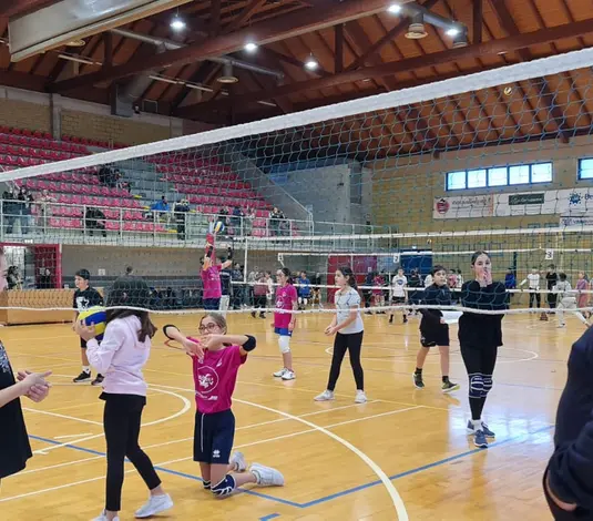 Pallavolo e Scuola: 15 anni di progetti vincenti!